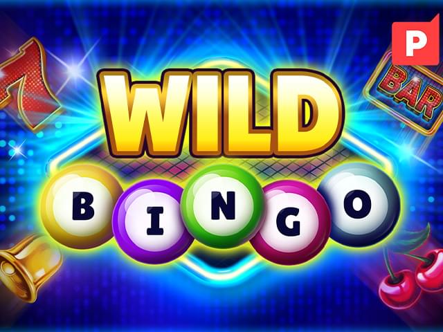 aaa888 bet Bingo Selvagem